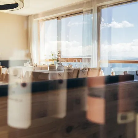Alpinhotel Pacheiner Hotel Treffen