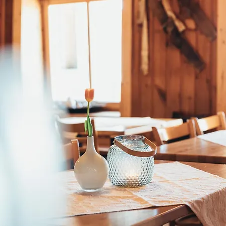 Alpinhotel Pacheiner Отель