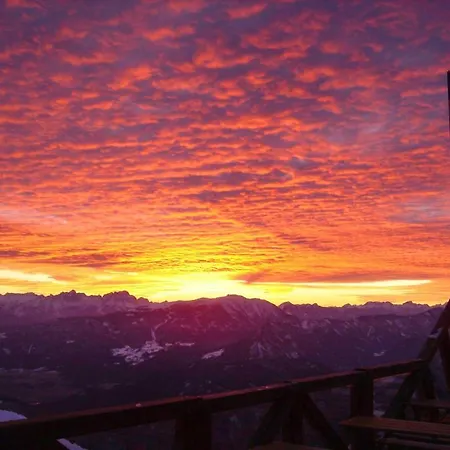 Alpinhotel Pacheiner 4* Treffen