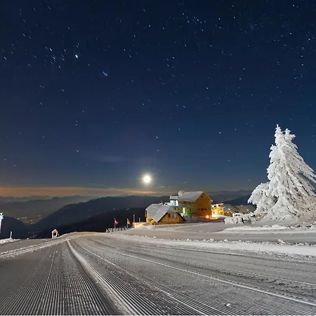 Alpinhotel Pacheiner 4* Treffen