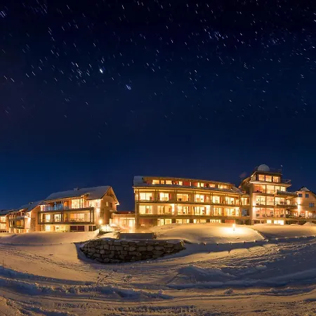 Alpinhotel Pacheiner 4*