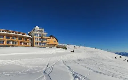 Alpinhotel Pacheiner 4* Треффен